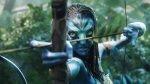 Navi bow and arrow in Avatar, Deja Reviewer