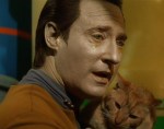 Instead of just crying over finding his lost cat, Data should have had a chance to revisit old memories.
