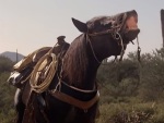 Whiskey the horse steals the show and is the best character in The Villain.