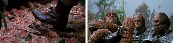 Evolved microbes go from benign to violent.