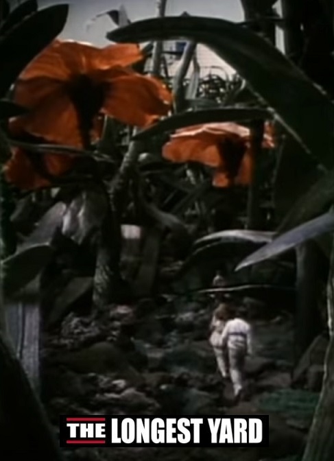 Honey, I Shrunk the Kids - The Longest Yard